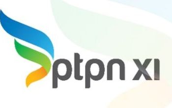 Literasi PTPN XI : Pabrik Gula Soedhono