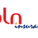 Pefindo Beri Rating idBBB+ untuk PLN Insurance