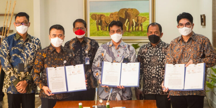 Sinergi BUMN: PLN, PTBA dan KAI Amankan Pasokan Batu Bara untuk Ketahanan Ketenagalistrikan Nasional