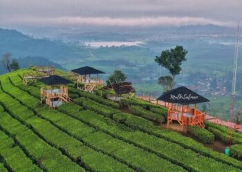 Wayang Windu Panenjoan PTPN VIII Menjadi Icon Wisata Baru di Jawa Barat