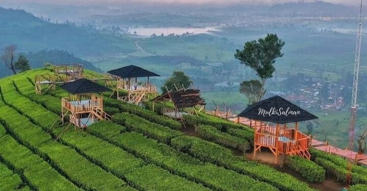 Wayang Windu Panenjoan PTPN VIII Menjadi Icon Wisata Baru di Jawa Barat