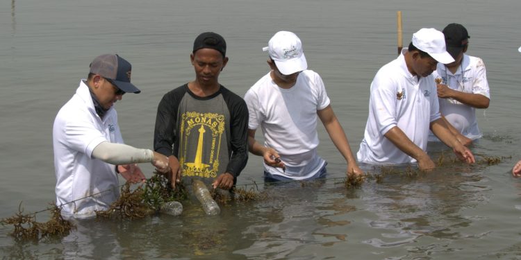 Dukung petani rumput laut,  ini upaya Kliring Berjangka Indonesia