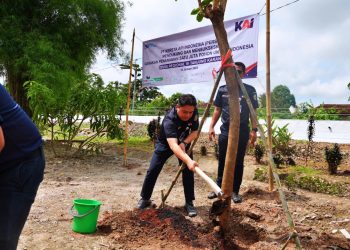 Sukseskan Gerakan Satu Juta Pohon, KAI Tanam Pohon dan Hijaukan Stasiun Serentak di Berbagai Daerah