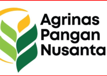 Direktur Utama Agrinas Pangan Nusantara, Joao Angelo De Sousa Mota, Resmi Mengundurkan Diri