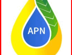 Berita Singkat Danantara & BUMN : Pegadaian, GARAM, JIEP, Agrinas Palma, PTPN 3, PTPN 1, Pelindo, Waskita, KIMA, Sucofindo, Krakatau Steel, IndonesiaRe, Semen Baturaja, Jasa Tirta 2, Pupuk Kujang, Waskita Precast, Nindya Karya